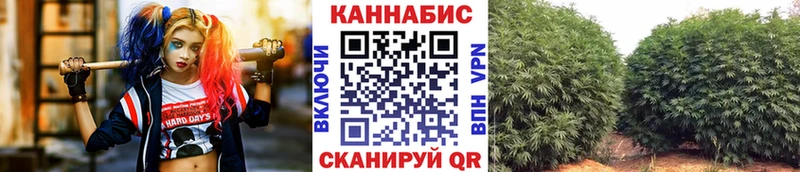 Лсд 25 Княгинино