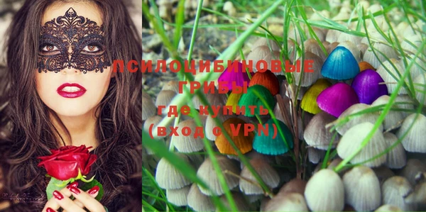 apvp Абдулино