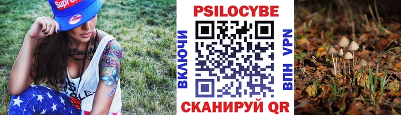 Псилоцибиновые грибы Cubensis  где купить   Княгинино 